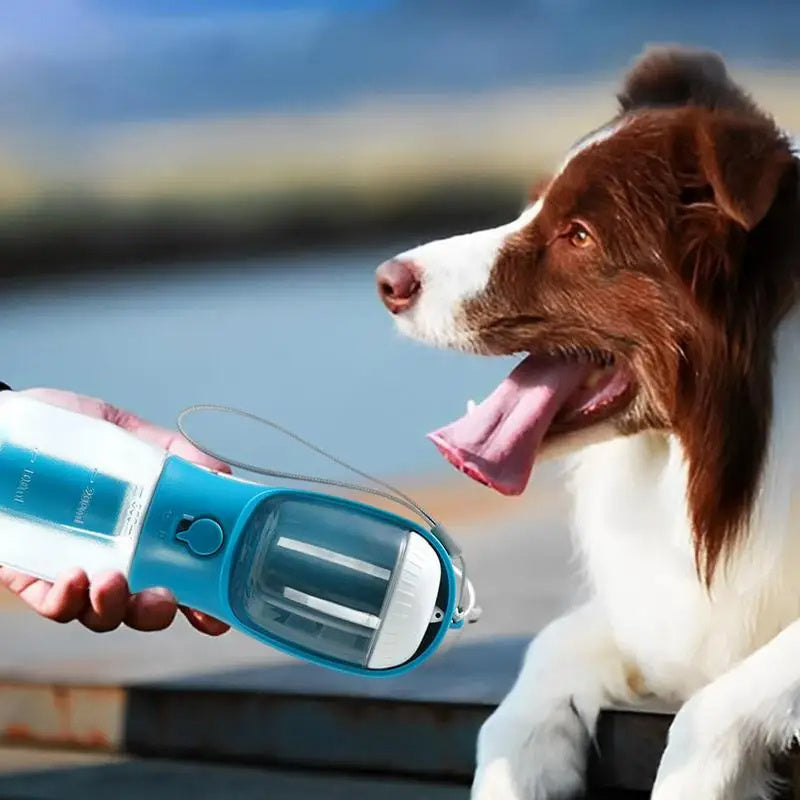 3 in 1 Dog and Cat Water Bottle and Cup