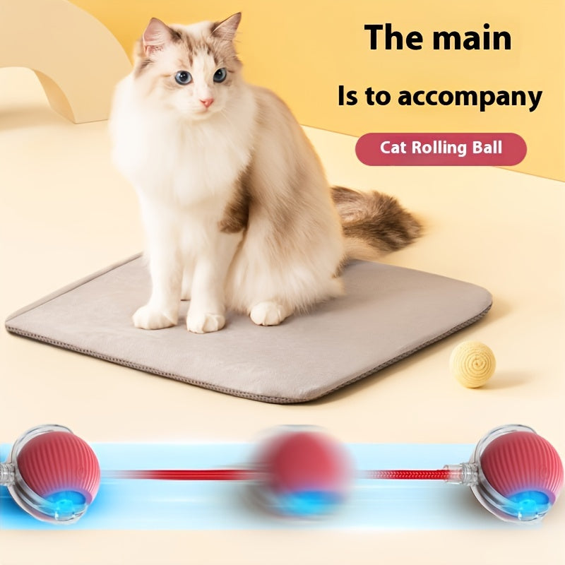 Balle de stimulation automatique