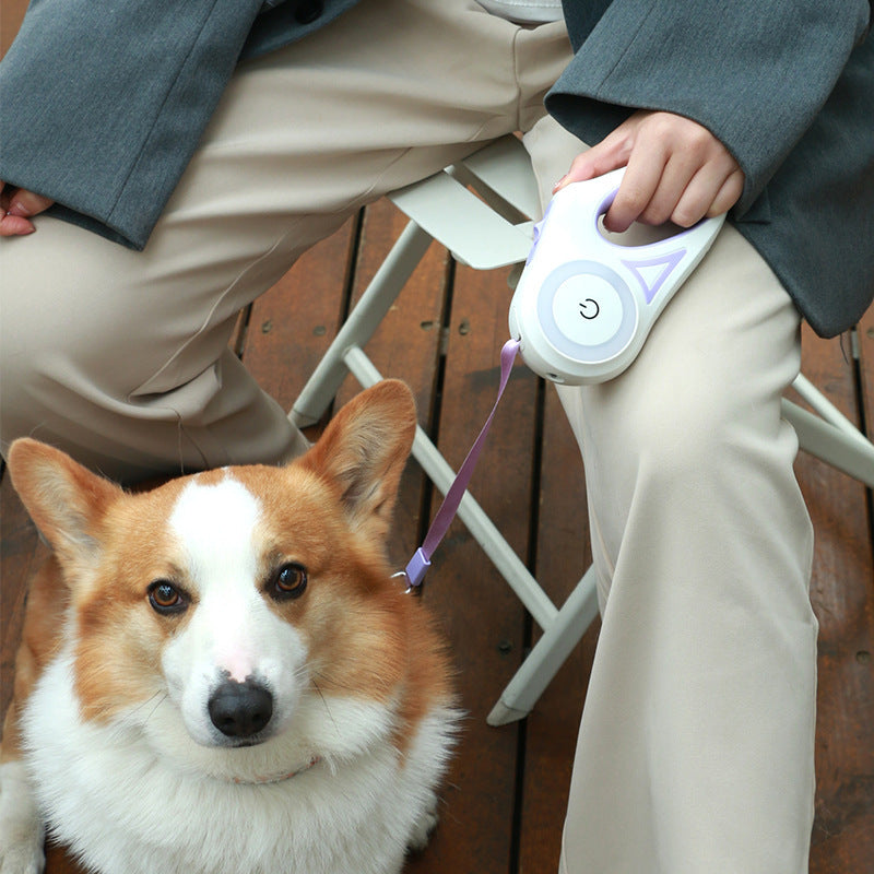 Retractable Dog Leash and Automatic Spotlight Collar