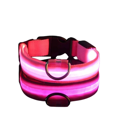 Coleira de segurança noturna em nylon com LED