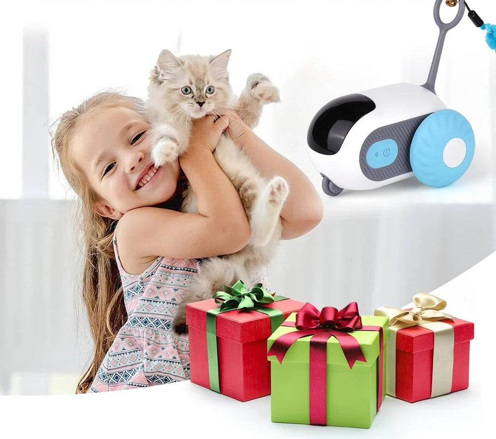 Smart cat toy