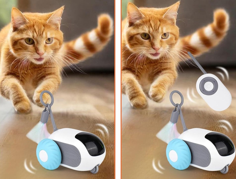 Smart cat toy