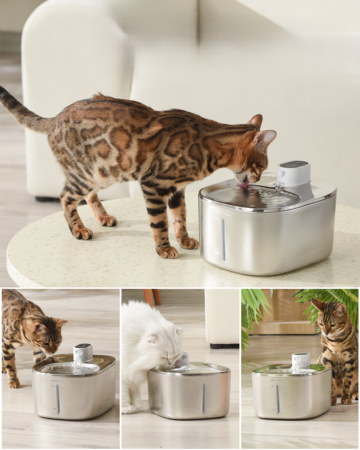 Automatic water fountain with sensor