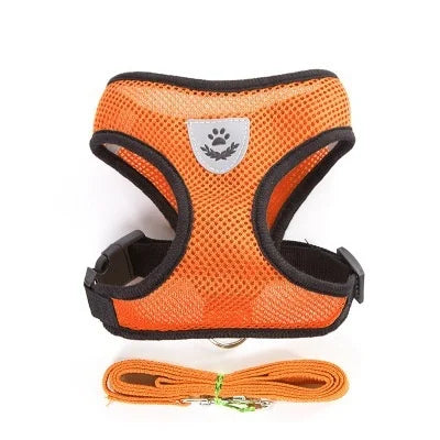 Adjustable chest collar for cats and puppies.