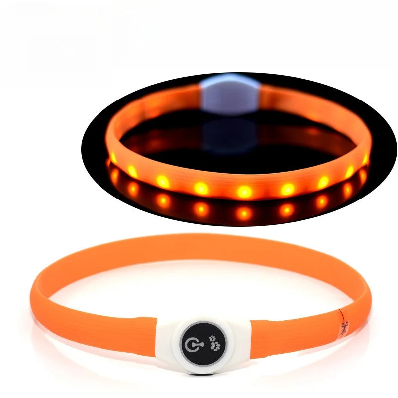Coleira luminosa LED para cães PVC