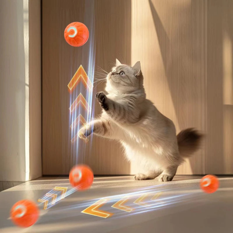 Toy ball for PET
