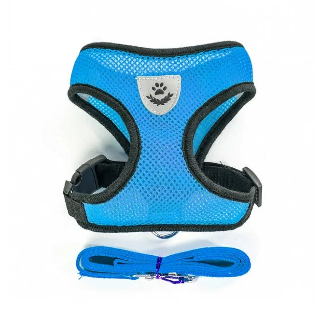 Adjustable chest collar for cats and puppies.