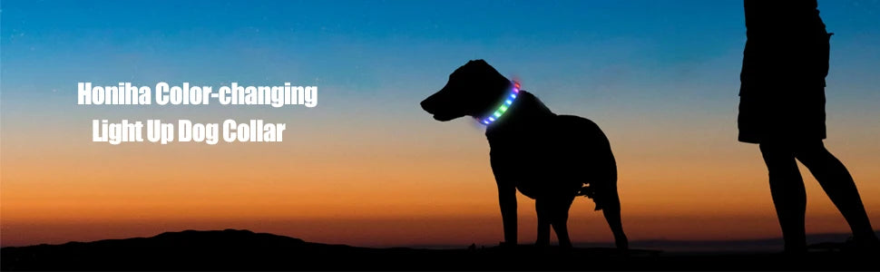 Coleira luminosa LED para cães PVC