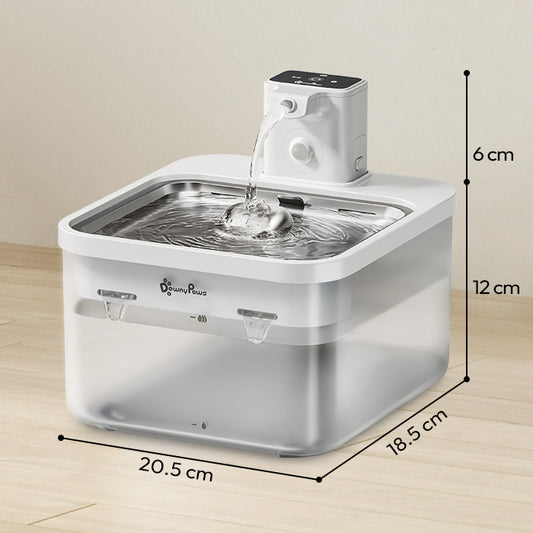 Water fountain with automatic dispenser