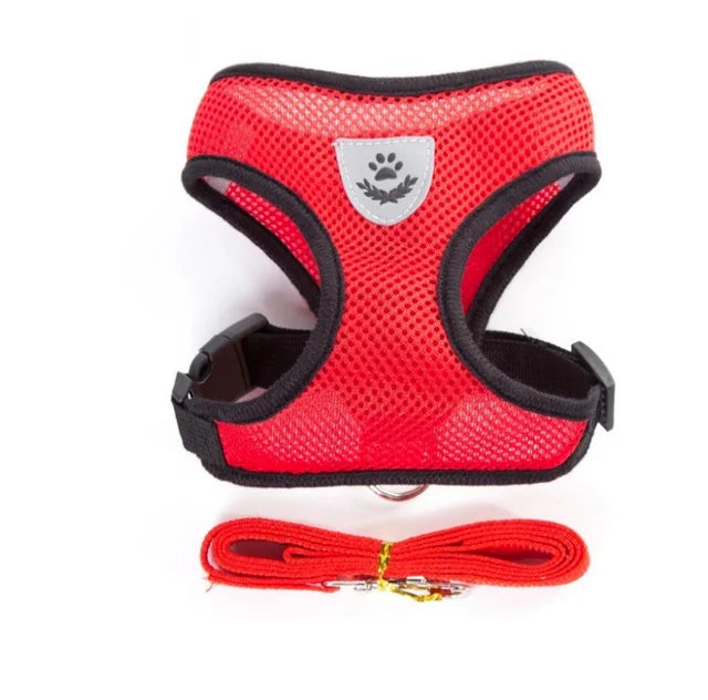 Adjustable chest collar for cats and puppies.