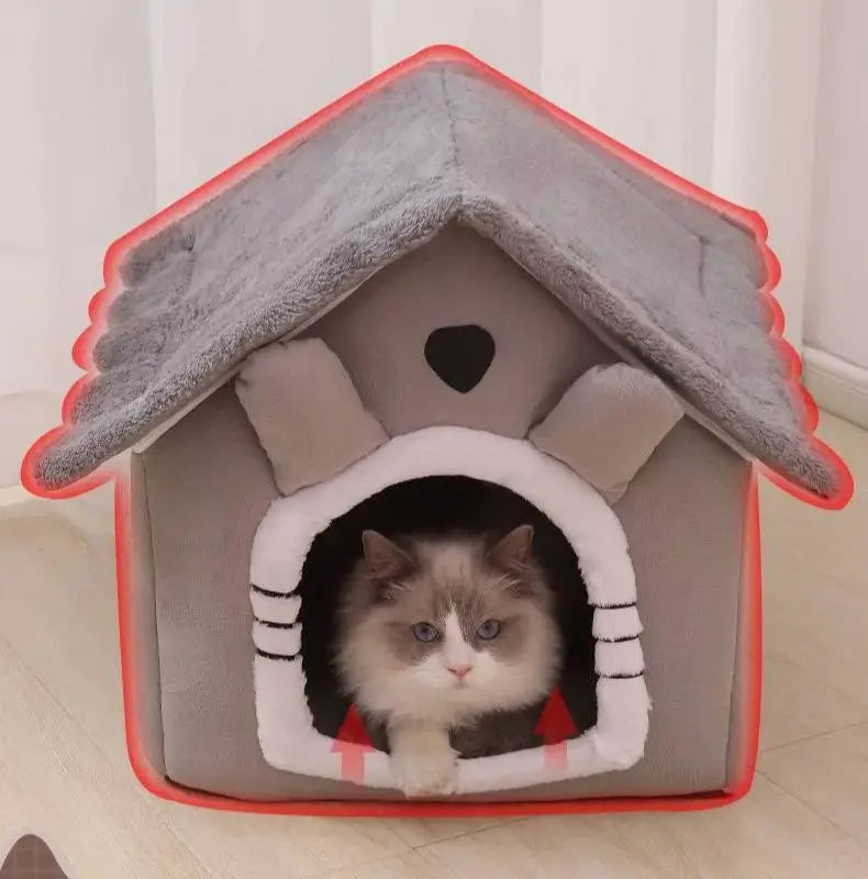 Sweet Home for dogs and cats