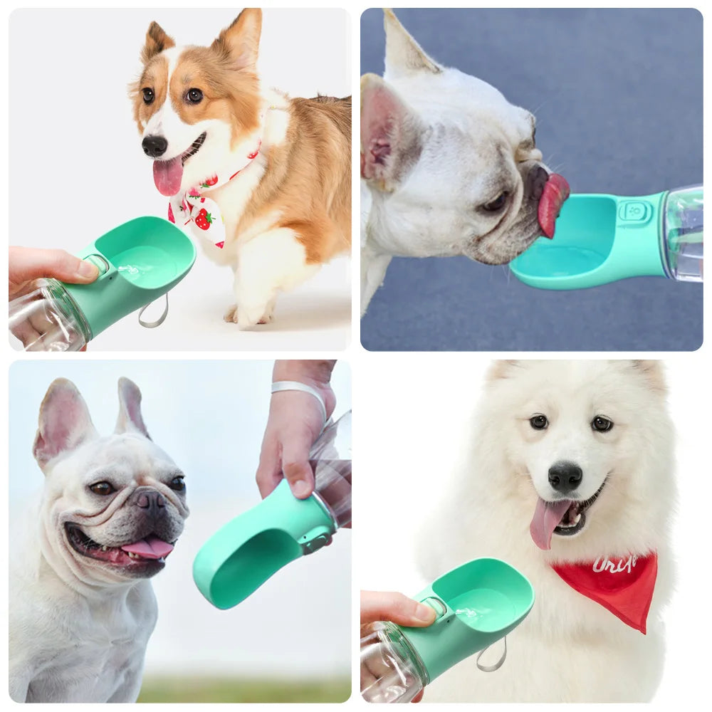 Garrafa de água portátil para cães e gatos