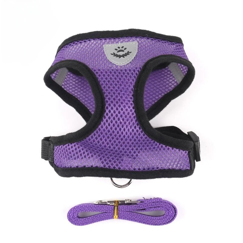 Adjustable chest collar for cats and puppies.