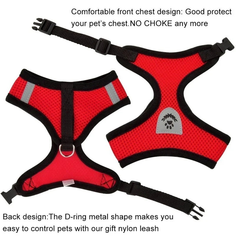 Adjustable chest collar for cats and puppies.