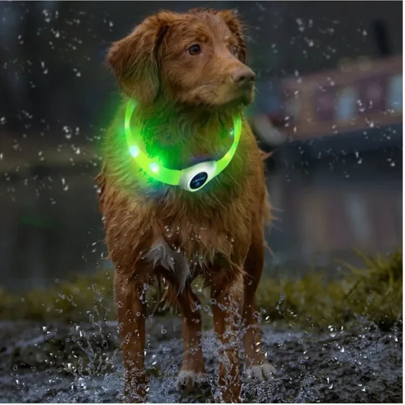 Coleira luminosa LED para cães PVC