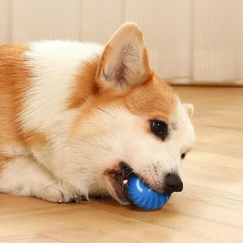 Toy ball for PET