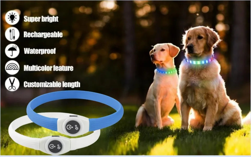 Coleira luminosa LED para cães PVC