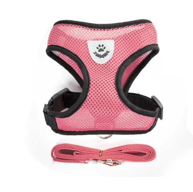 Adjustable chest collar for cats and puppies.