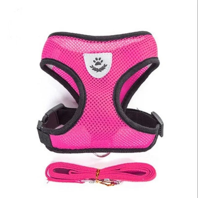 Adjustable chest collar for cats and puppies.