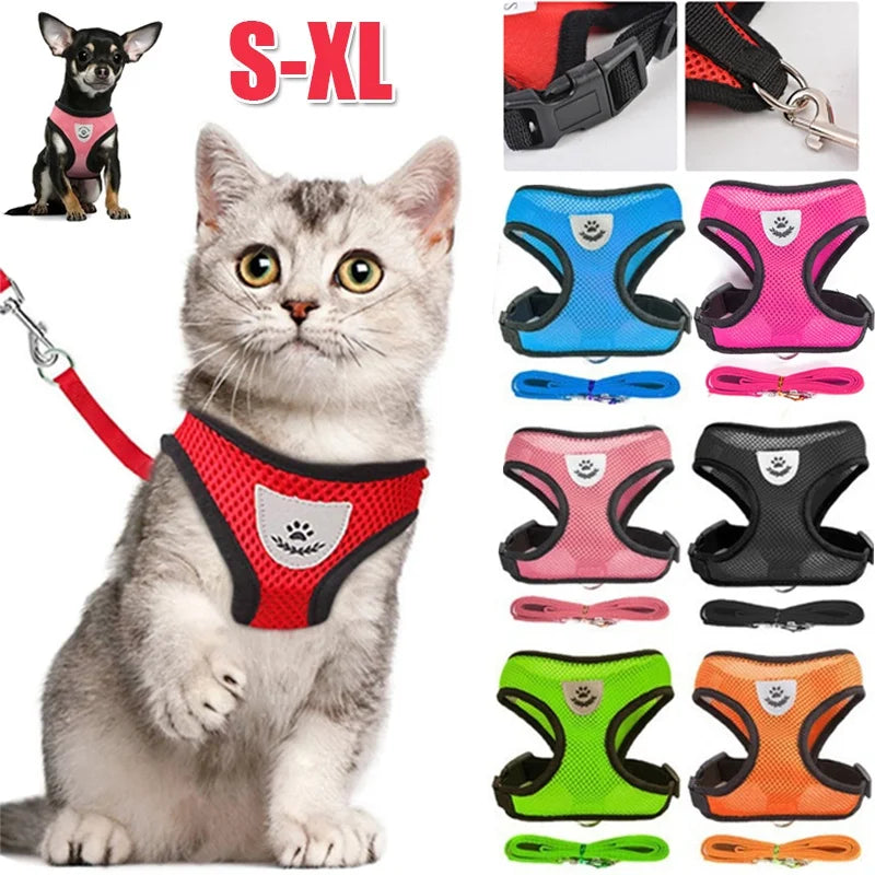 Coleira Peitoral para cãezinhos e gatos