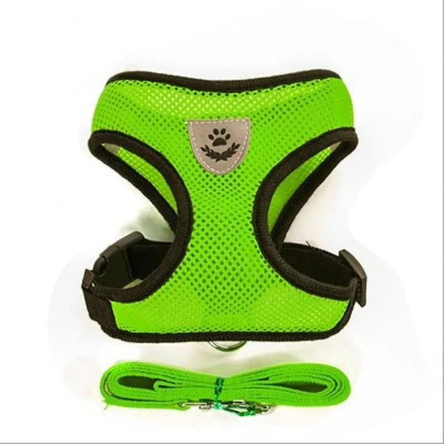 Adjustable chest collar for cats and puppies.