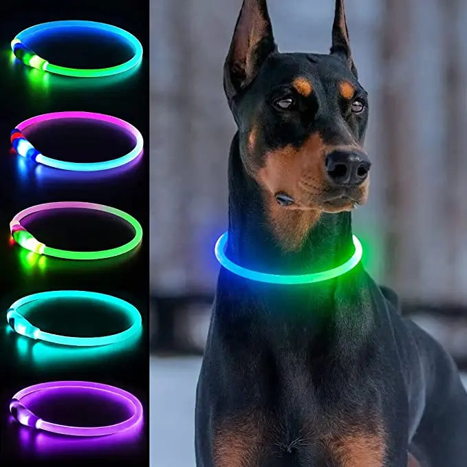 Coleira luminosa LED para cães PVC