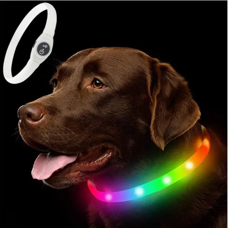 Coleira luminosa LED para cães PVC