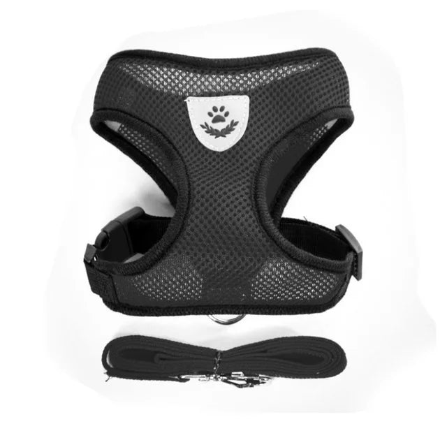 Adjustable chest collar for cats and puppies.