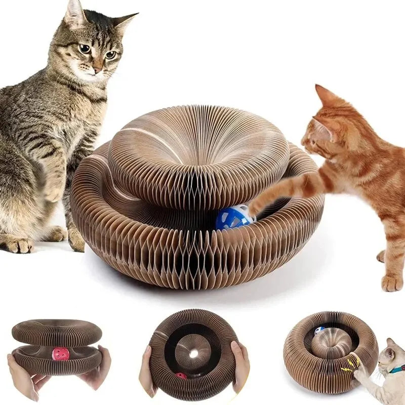Jouet à gratter rond et ondulé pour chat