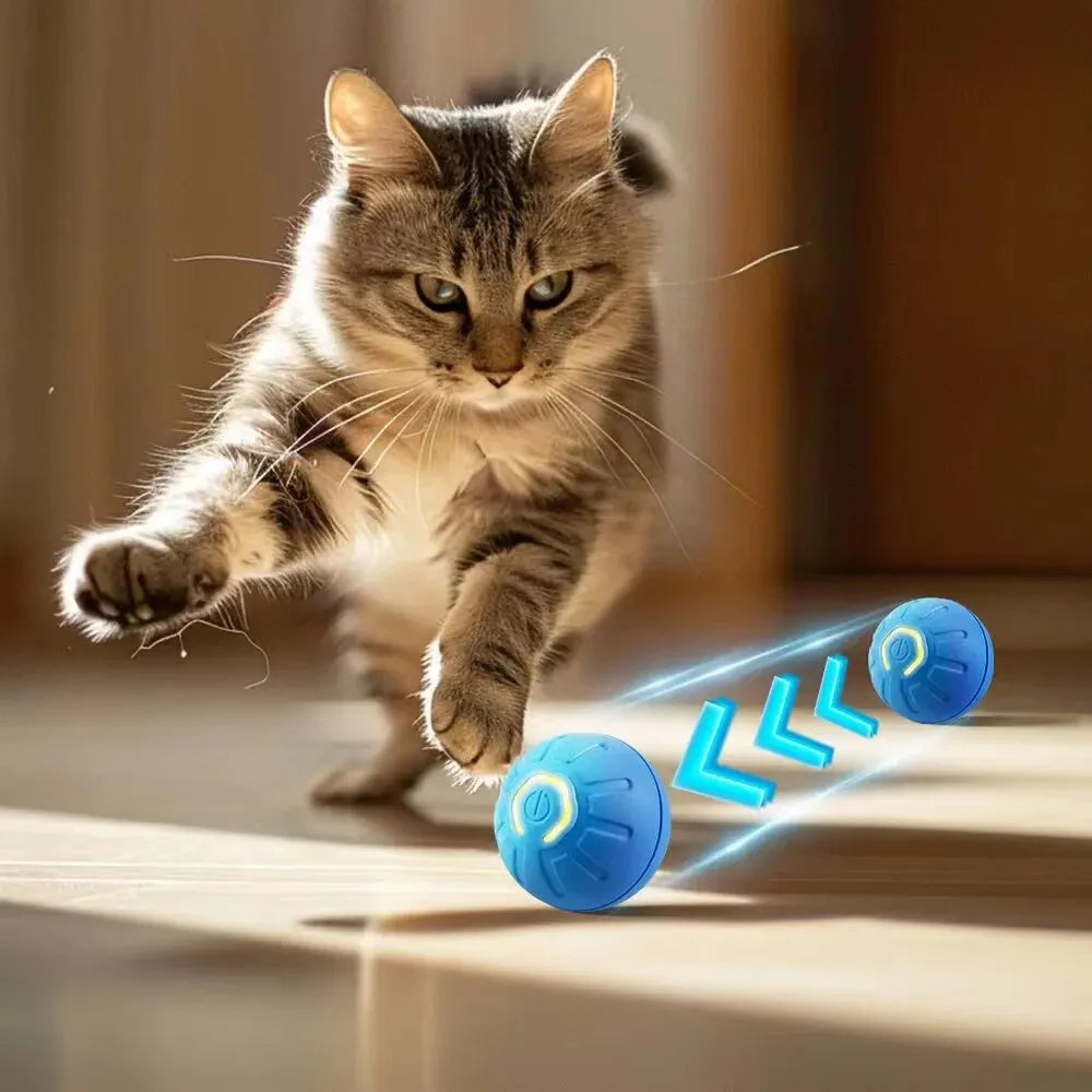 Toy ball for PET