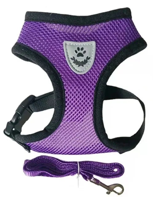 Adjustable chest collar for cats and puppies.