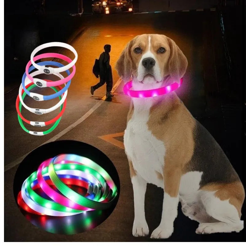 Coleira luminosa LED para cães PVC