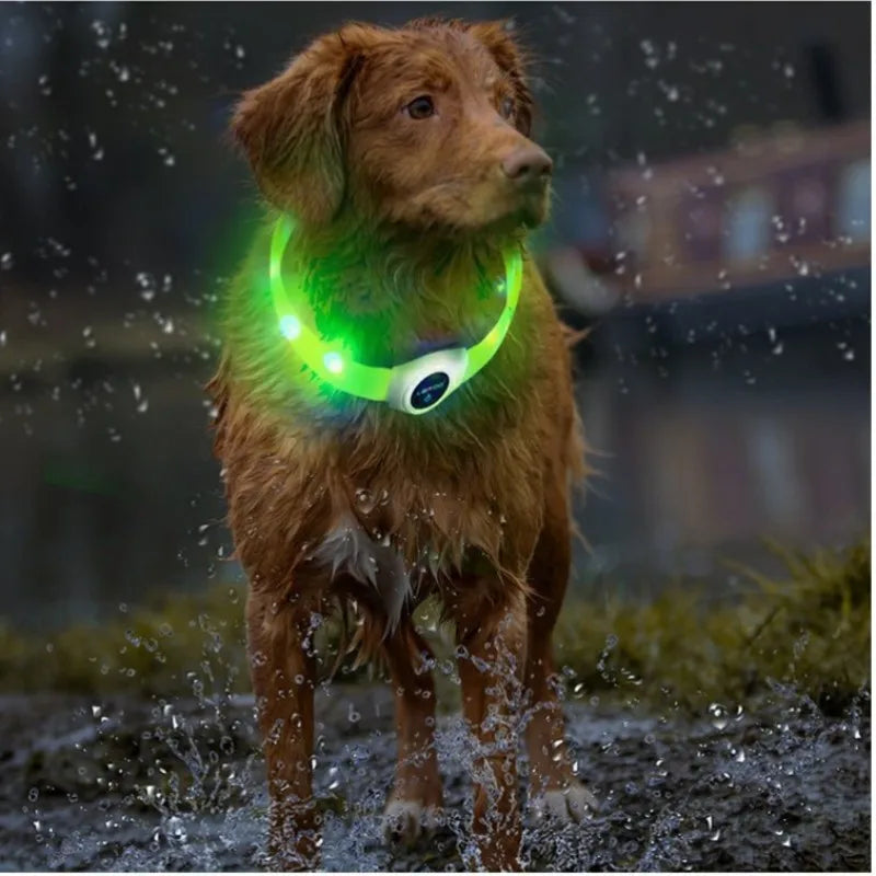 Coleira luminosa LED para cães PVC