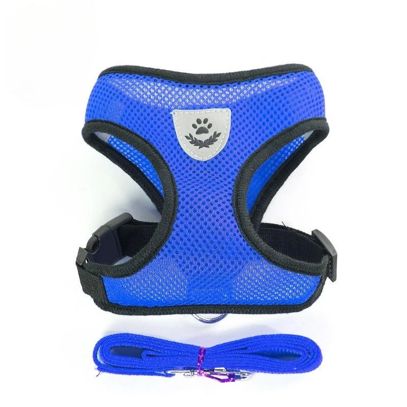 Adjustable chest collar for cats and puppies.