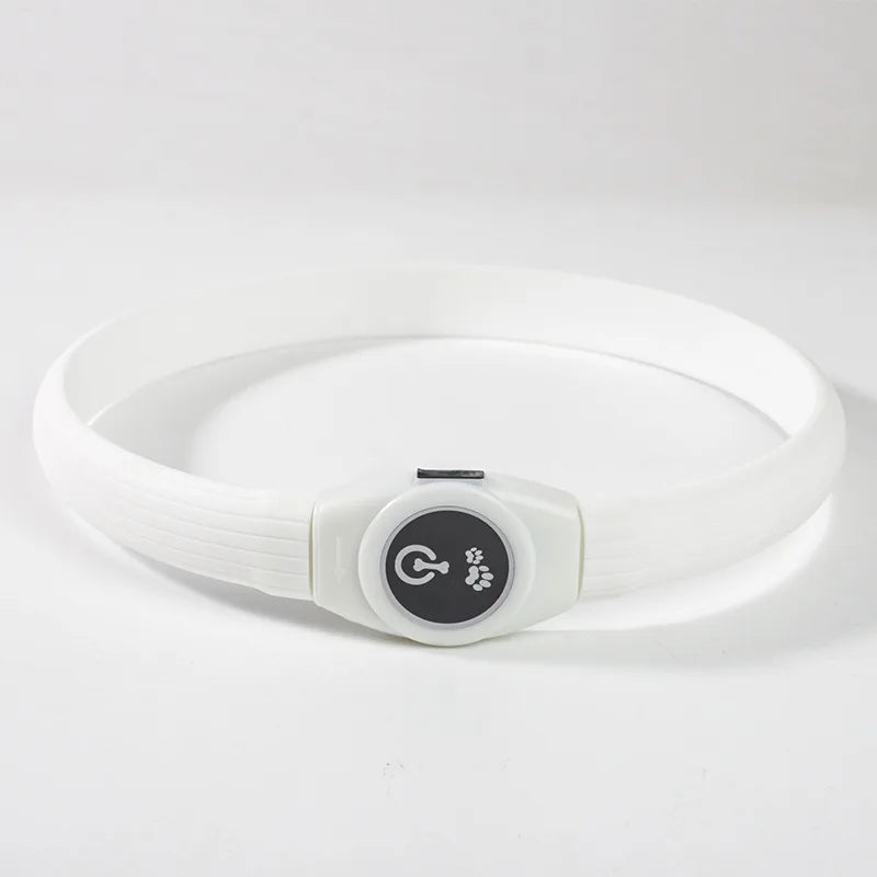 Coleira luminosa LED para cães PVC