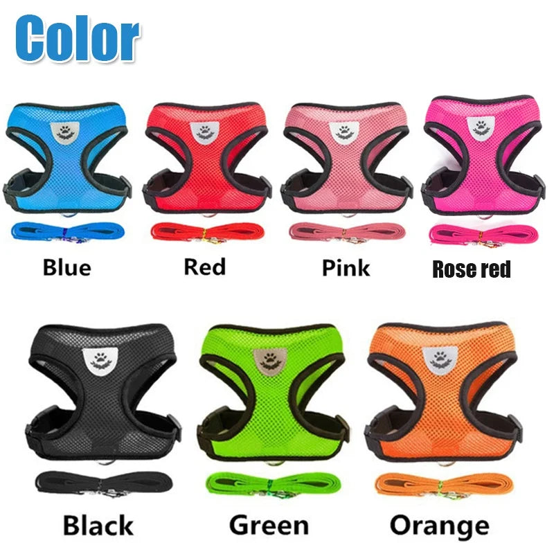 Adjustable chest collar for cats and puppies.