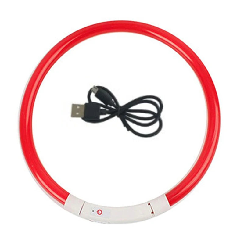 Coleira noturna luminosa LED
