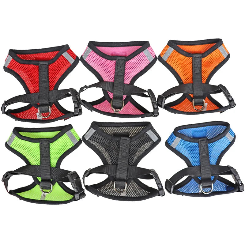 Adjustable chest collar for cats and puppies.