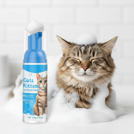 Gato com espuma em close-up