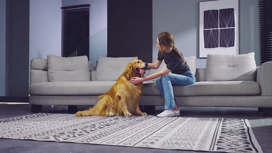 Kit de higiene com aspirador com coletor de pó para animais de estimação 7 em 1