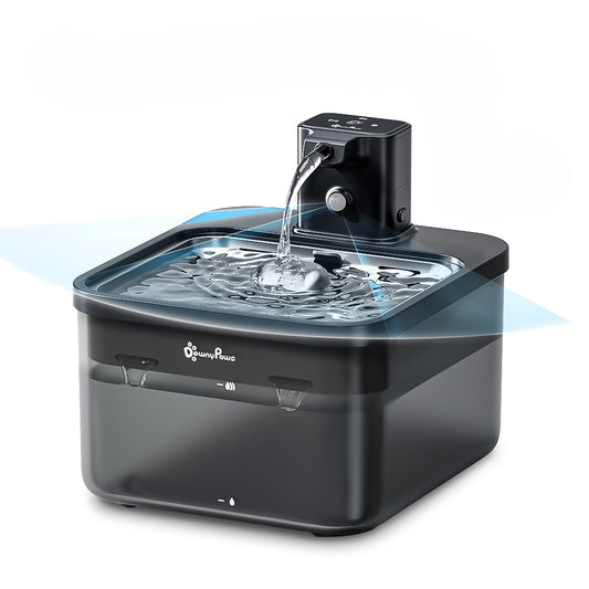 Water fountain with automatic dispenser