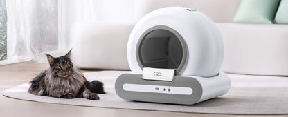 Caixa de areia automática para gatos DOEL com autolimpeza 65L com App Control