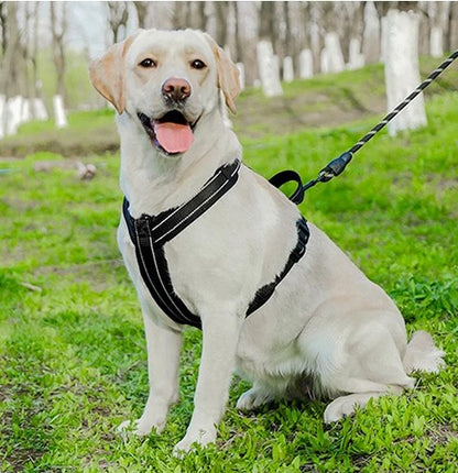 Protector de pecho Plus con bandas reflectantes - Control y seguridad
