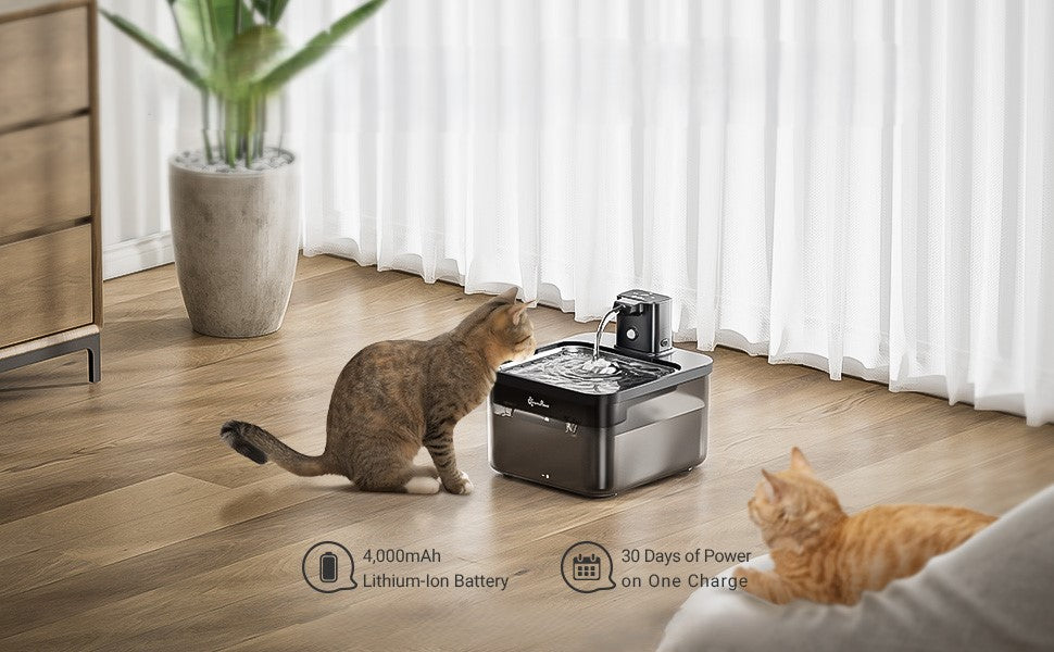 Fonte de água com dispensador automático