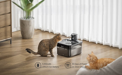 Fonte de água com dispensador automático