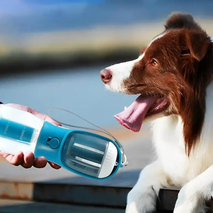 Bouteille d'eau et tasse 3 en 1 pour chien et chat