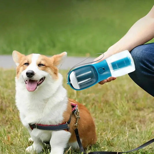 Bouteille d'eau et tasse 3 en 1 pour chien et chat