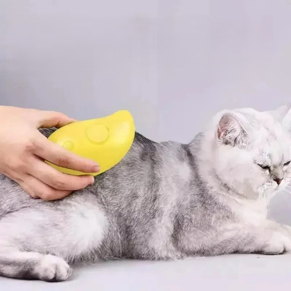 Electric Steam Brush 