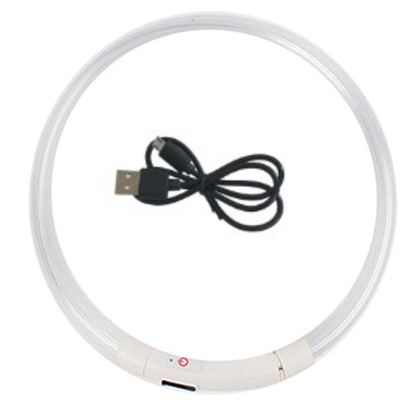Coleira noturna luminosa LED