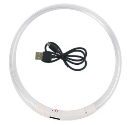 Coleira noturna luminosa LED